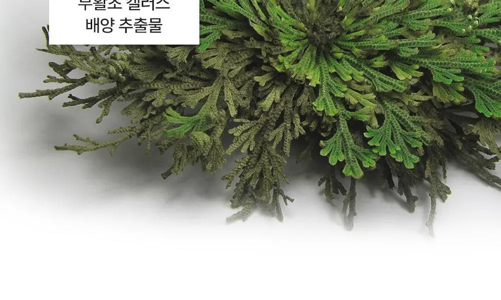 [아이백볼륨UP/주름개선] 성분에디터 실크펩타이드 인텐시브 리프팅 아이크림 30ml 상세페이지 34